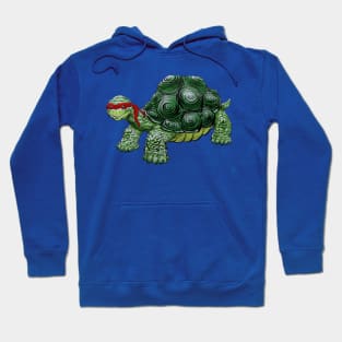 TMNT Hoodie